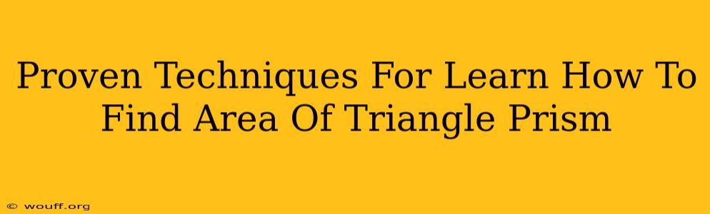 Proven Techniques For Learn How To Find Area Of Triangle Prism