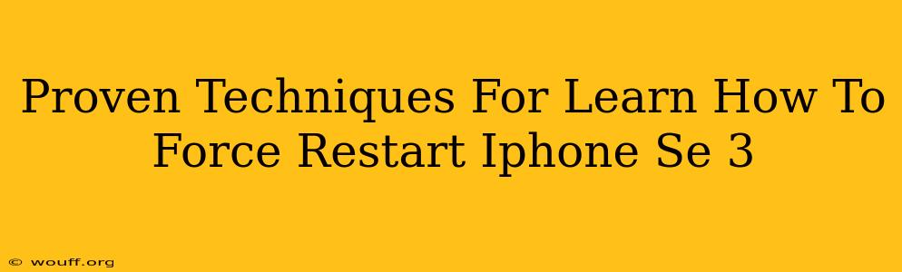 Proven Techniques For Learn How To Force Restart Iphone Se 3