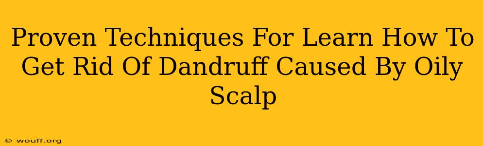 Proven Techniques For Learn How To Get Rid Of Dandruff Caused By Oily Scalp