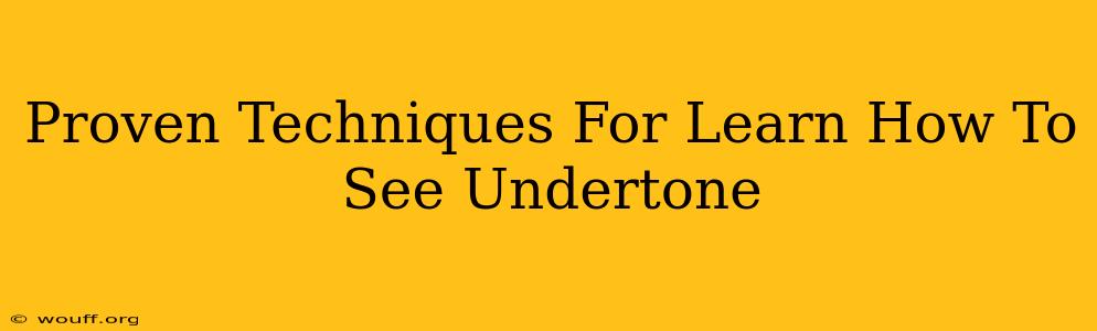 Proven Techniques For Learn How To See Undertone