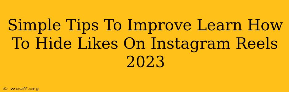 Simple Tips To Improve Learn How To Hide Likes On Instagram Reels 2023