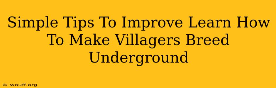 Simple Tips To Improve Learn How To Make Villagers Breed Underground