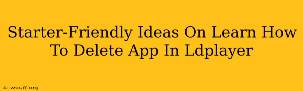 Starter-Friendly Ideas On Learn How To Delete App In Ldplayer