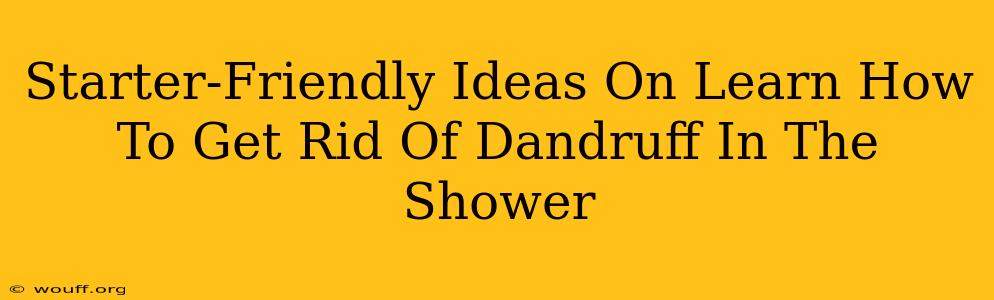 Starter-Friendly Ideas On Learn How To Get Rid Of Dandruff In The Shower