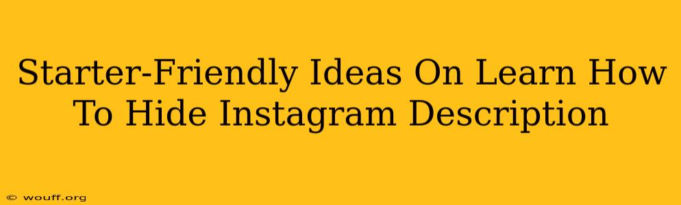 Starter-Friendly Ideas On Learn How To Hide Instagram Description