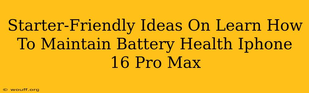 Starter-Friendly Ideas On Learn How To Maintain Battery Health Iphone 16 Pro Max