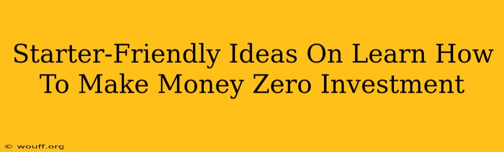 Starter-Friendly Ideas On Learn How To Make Money Zero Investment