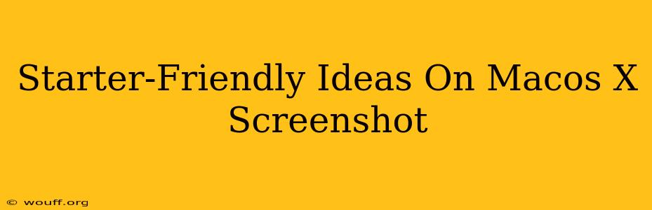 Starter-Friendly Ideas On Macos X Screenshot