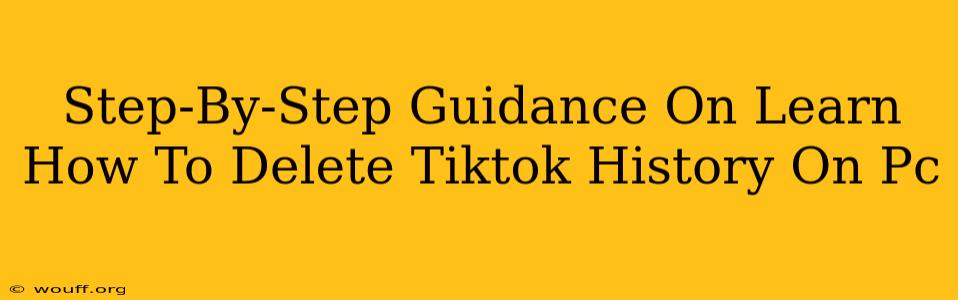 Step-By-Step Guidance On Learn How To Delete Tiktok History On Pc