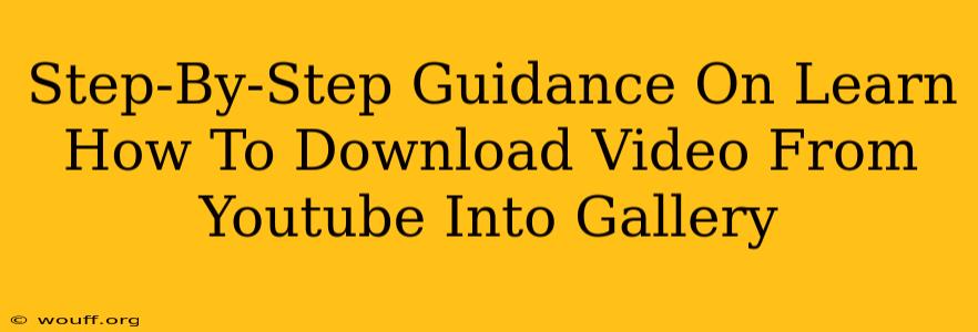 Step-By-Step Guidance On Learn How To Download Video From Youtube Into Gallery