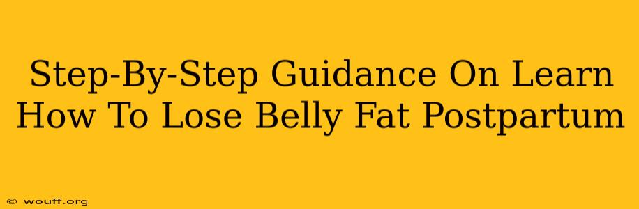 Step-By-Step Guidance On Learn How To Lose Belly Fat Postpartum