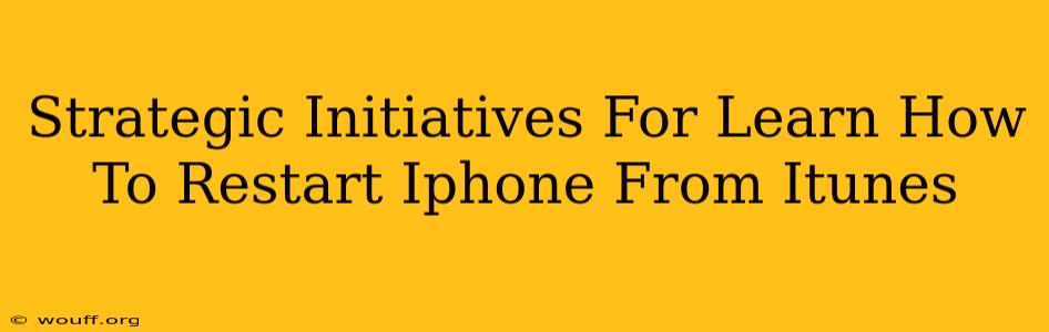 Strategic Initiatives For Learn How To Restart Iphone From Itunes