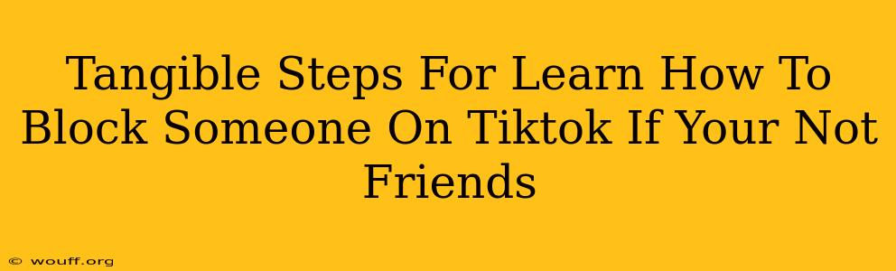 Tangible Steps For Learn How To Block Someone On Tiktok If Your Not Friends