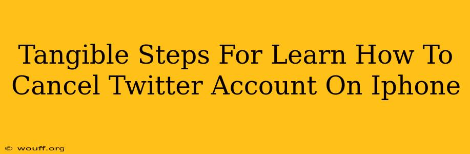 Tangible Steps For Learn How To Cancel Twitter Account On Iphone