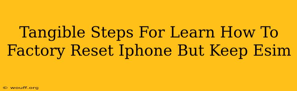 Tangible Steps For Learn How To Factory Reset Iphone But Keep Esim