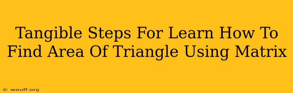 Tangible Steps For Learn How To Find Area Of Triangle Using Matrix