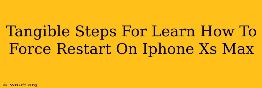 Tangible Steps For Learn How To Force Restart On Iphone Xs Max