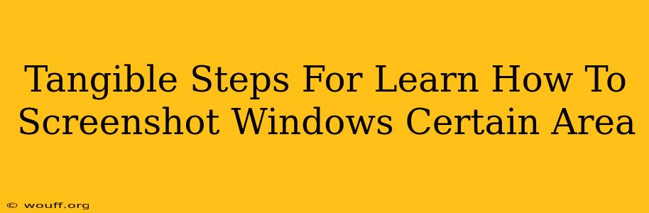 Tangible Steps For Learn How To Screenshot Windows Certain Area