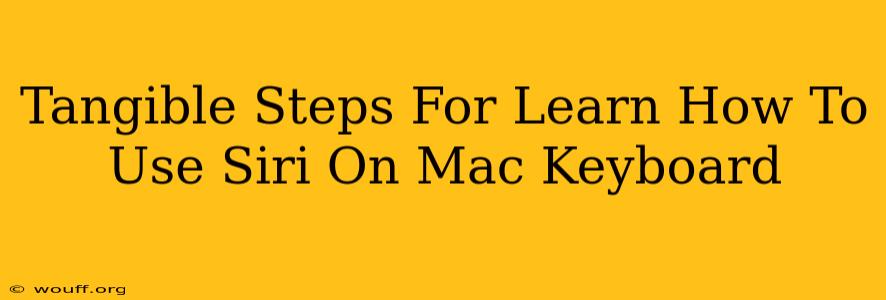 Tangible Steps For Learn How To Use Siri On Mac Keyboard