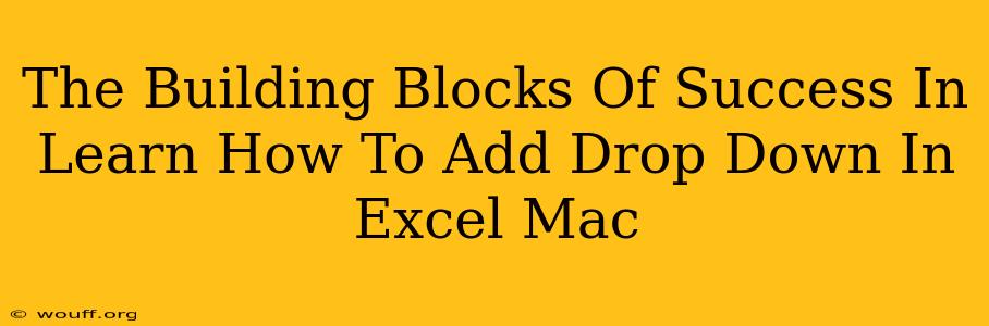 The Building Blocks Of Success In Learn How To Add Drop Down In Excel Mac