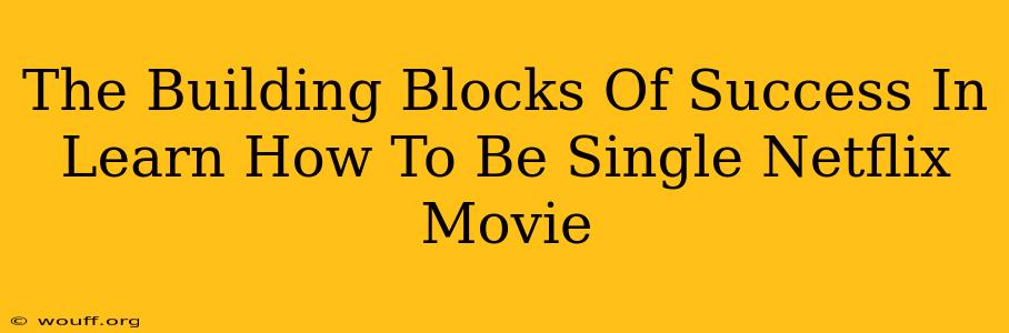 The Building Blocks Of Success In Learn How To Be Single Netflix Movie