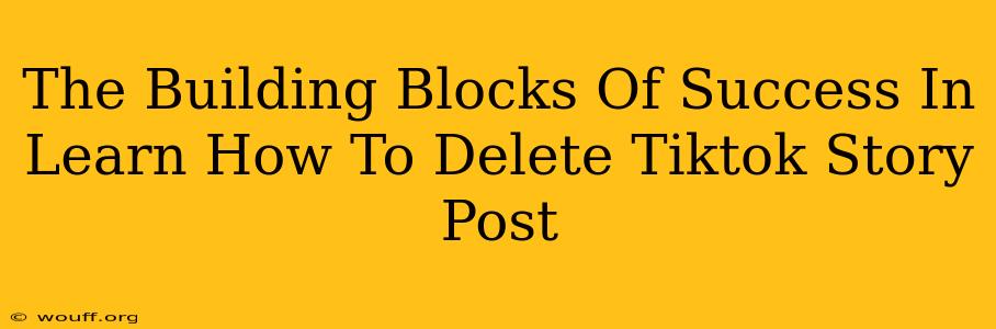 The Building Blocks Of Success In Learn How To Delete Tiktok Story Post