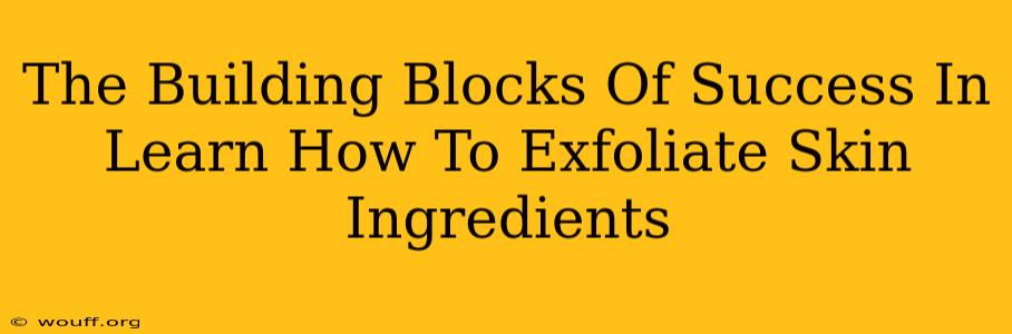 The Building Blocks Of Success In Learn How To Exfoliate Skin Ingredients