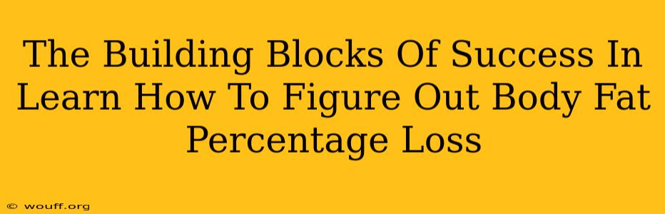 The Building Blocks Of Success In Learn How To Figure Out Body Fat Percentage Loss