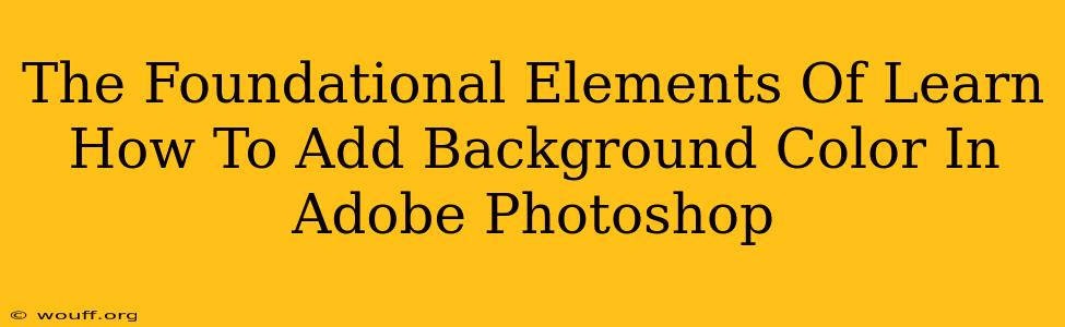 The Foundational Elements Of Learn How To Add Background Color In Adobe Photoshop