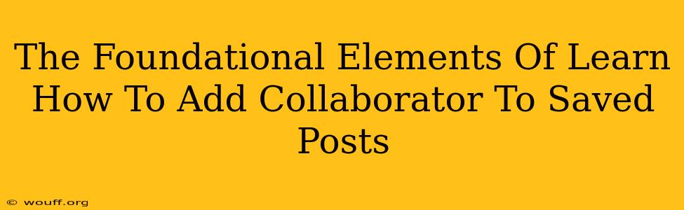 The Foundational Elements Of Learn How To Add Collaborator To Saved Posts