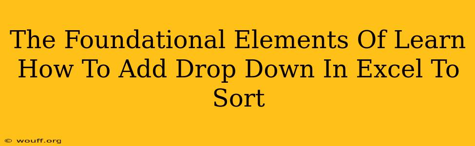 The Foundational Elements Of Learn How To Add Drop Down In Excel To Sort