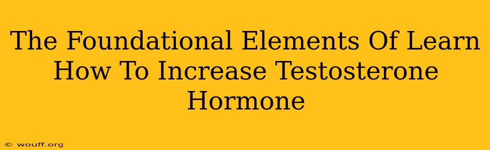 The Foundational Elements Of Learn How To Increase Testosterone Hormone