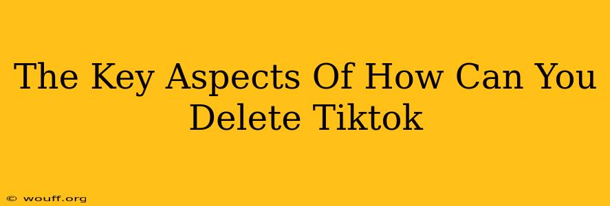 The Key Aspects Of How Can You Delete Tiktok