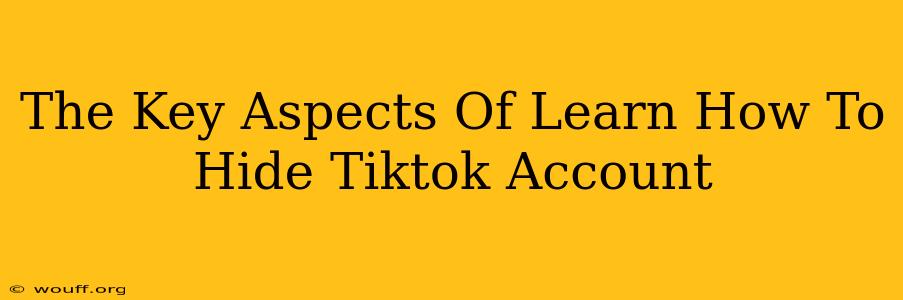 The Key Aspects Of Learn How To Hide Tiktok Account