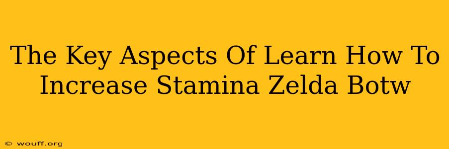 The Key Aspects Of Learn How To Increase Stamina Zelda Botw