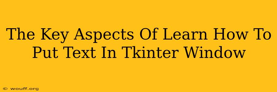 The Key Aspects Of Learn How To Put Text In Tkinter Window