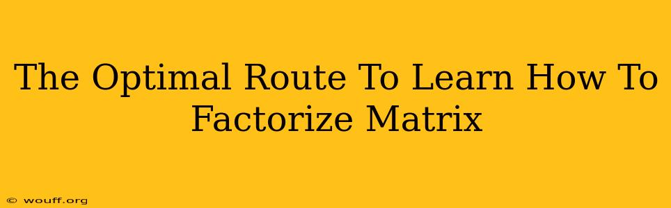 The Optimal Route To Learn How To Factorize Matrix