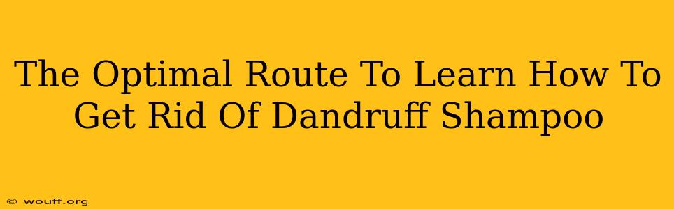 The Optimal Route To Learn How To Get Rid Of Dandruff Shampoo