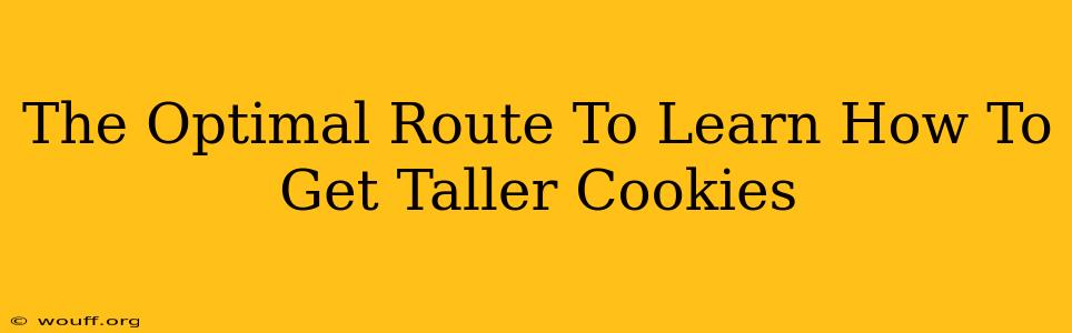 The Optimal Route To Learn How To Get Taller Cookies