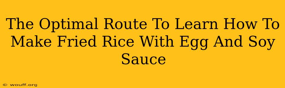 The Optimal Route To Learn How To Make Fried Rice With Egg And Soy Sauce