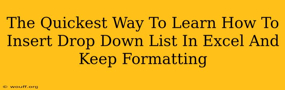 The Quickest Way To Learn How To Insert Drop Down List In Excel And Keep Formatting