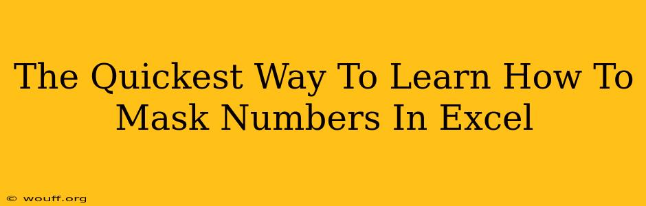 The Quickest Way To Learn How To Mask Numbers In Excel