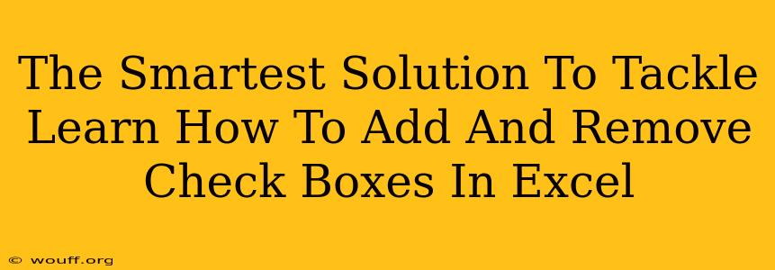 The Smartest Solution To Tackle Learn How To Add And Remove Check Boxes In Excel