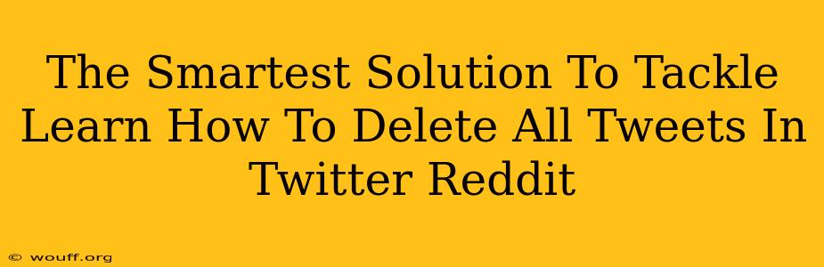 The Smartest Solution To Tackle Learn How To Delete All Tweets In Twitter Reddit