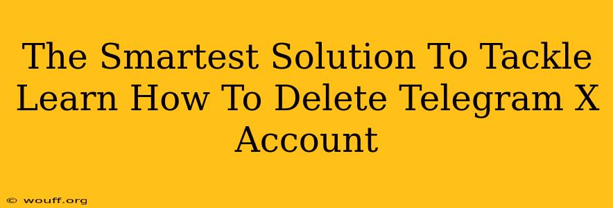 The Smartest Solution To Tackle Learn How To Delete Telegram X Account