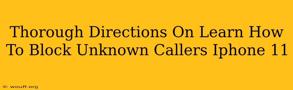 Thorough Directions On Learn How To Block Unknown Callers Iphone 11