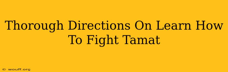 Thorough Directions On Learn How To Fight Tamat