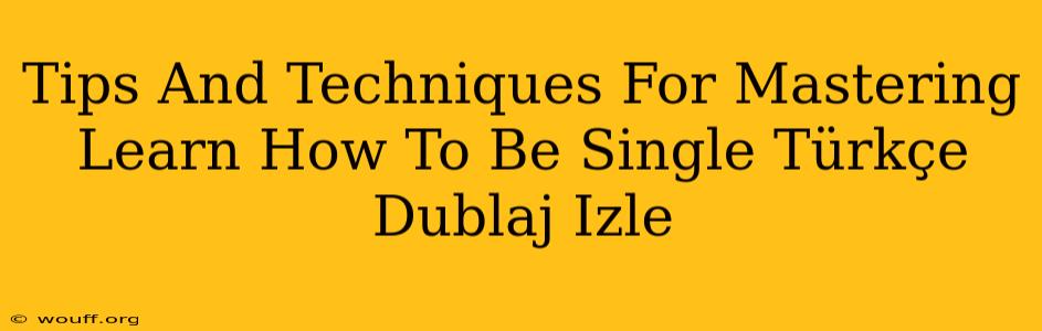 Tips And Techniques For Mastering Learn How To Be Single Türkçe Dublaj Izle