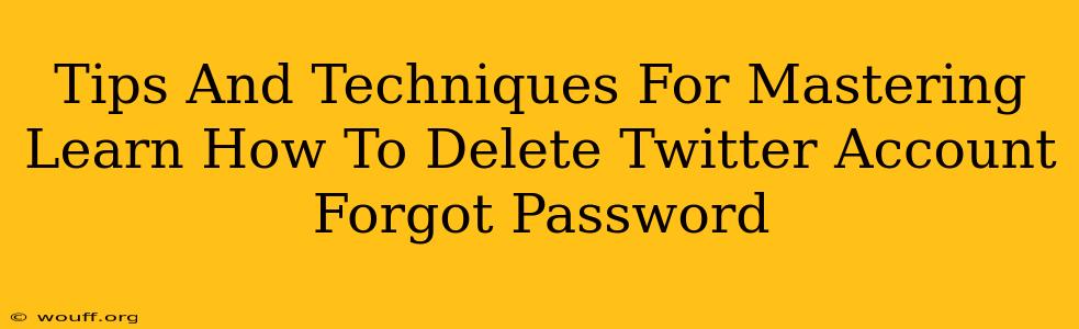 Tips And Techniques For Mastering Learn How To Delete Twitter Account Forgot Password