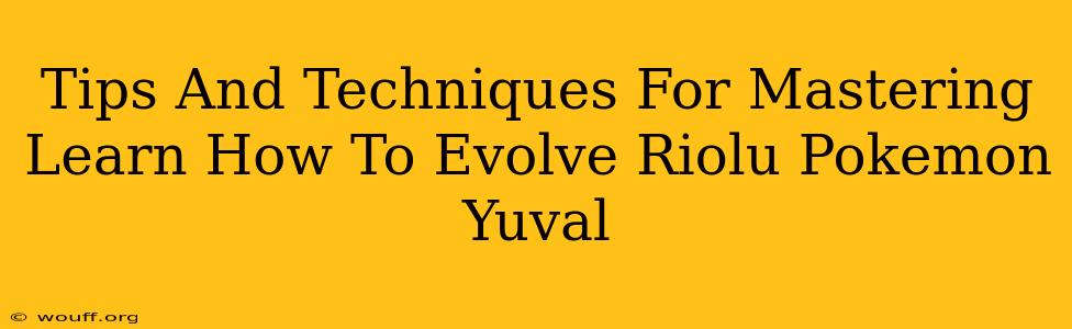 Tips And Techniques For Mastering Learn How To Evolve Riolu Pokemon Yuval